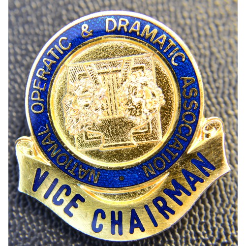 Vice Chairman Badge